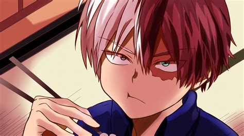 todoroki videos